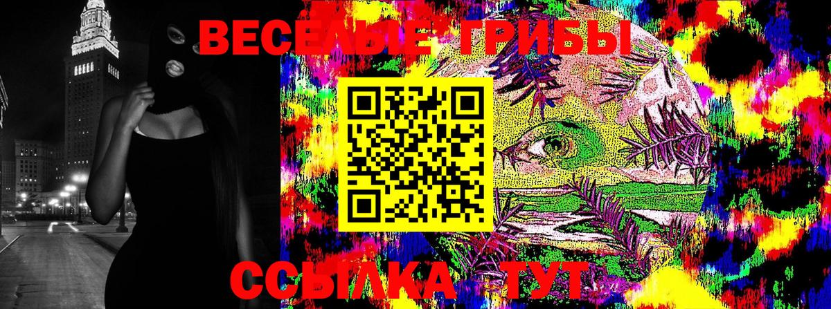 Ивантеевка  Галлюциногенные грибы Psilocybe  Псилоцибиновые грибы мухоморы  Вход с VPN 