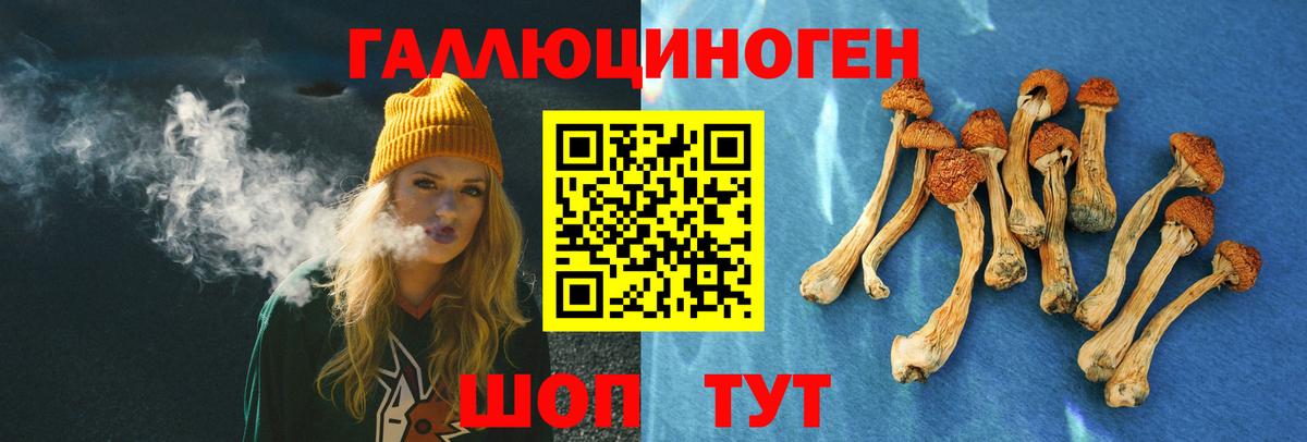 Псилоцибиновые грибы Cubensis Ивантеевка